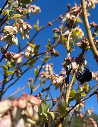 Screenshot 2026-03-07 at 10.06.31 AM.png