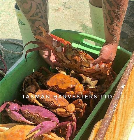THL%20Deepwater%20Red%20Crab%20(1)_edite