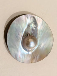 Tahitian Black Oyster Mobe Pearl.jpg