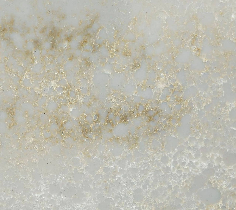 Specta Quartz | Venera | Aura Series | Delhi | Gurgaon
