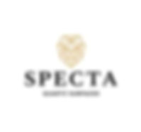 Best Quartz Countertops Brands in India