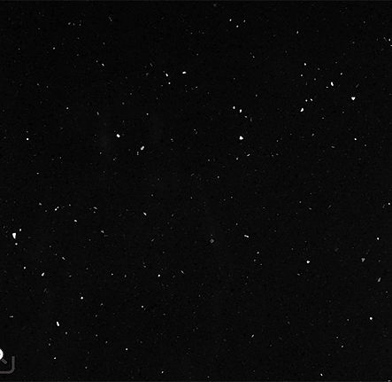 Starry Black.jpg