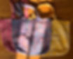 IMG_6673.jpeg