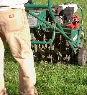 aerator-lawn-tiller-bf87684b-fc9d10549a004058acf0ef46a4169c10.jpg