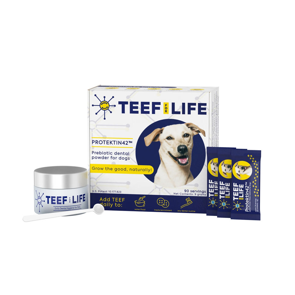 TEEF for Life - Protektin42™ - Kit: Prebiotic Dental Powder for Dogs