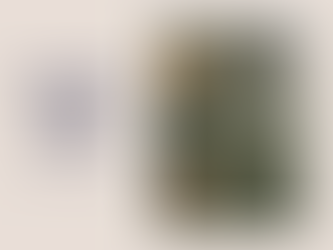 What Would Bring You Joy This Holiday Season?