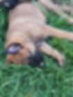 fuzzy.jpg