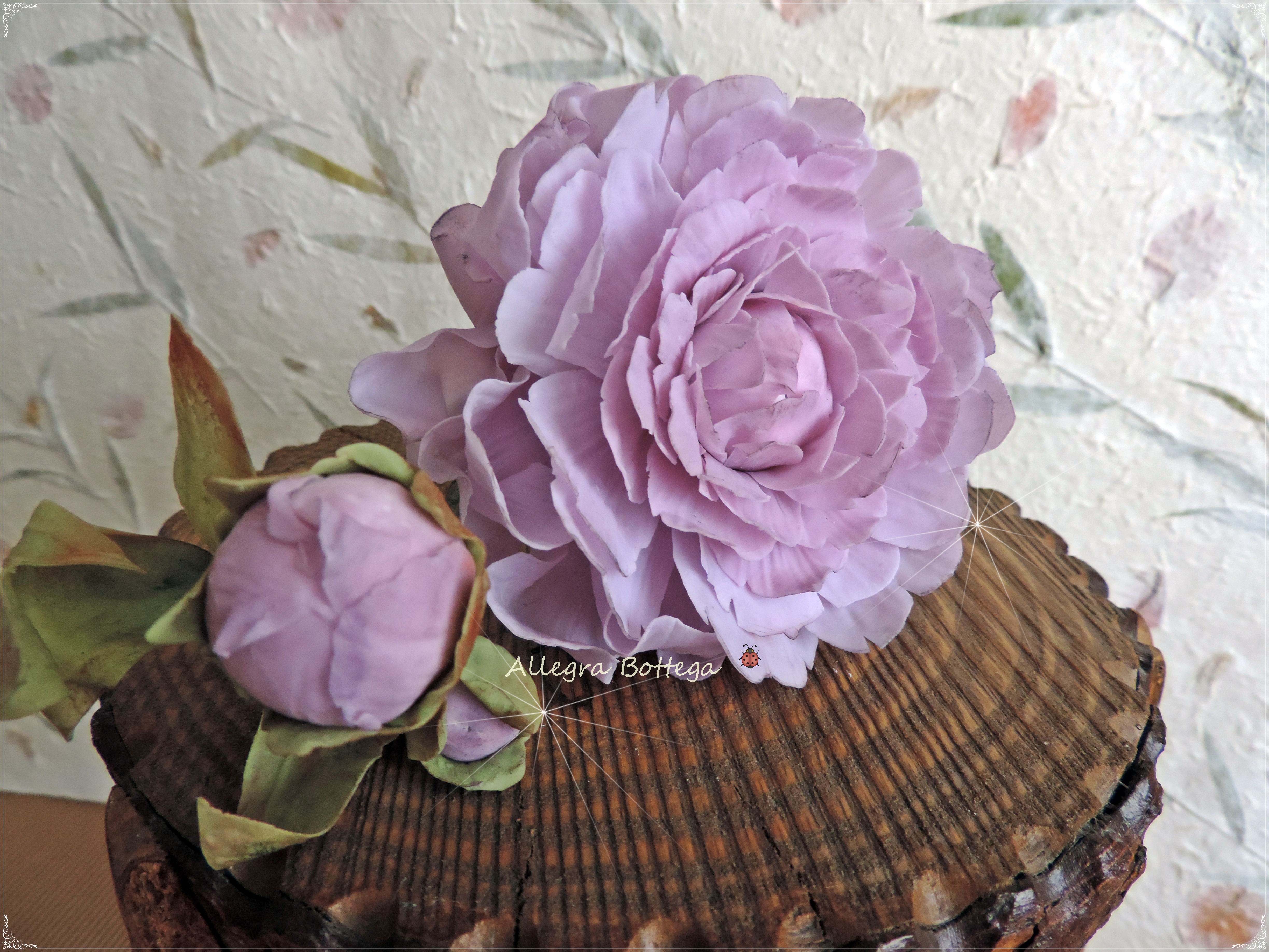 Peonia lilla in porcellana fredda