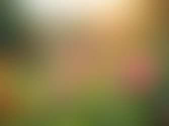 Understanding Cancer Risks through Survivor Experiences