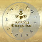 Synergy Energetics Logo Wellness business worldwide