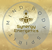 New Synergy LogoFeb255.png