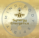 New Synergy LogoFeb255.png