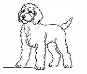 Online animal healing sessions available worldwide through Synergy Energetics.