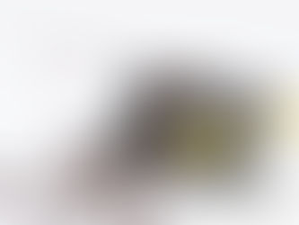 From Fluff to Function: How The Reverse ICO Can Tokenize Real Assets