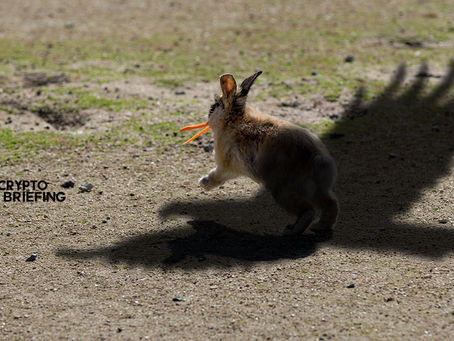 BitMEX Traders Withdraw $125M As CFTC Looms Closer