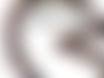 What Is Populous? Introduction to PPT