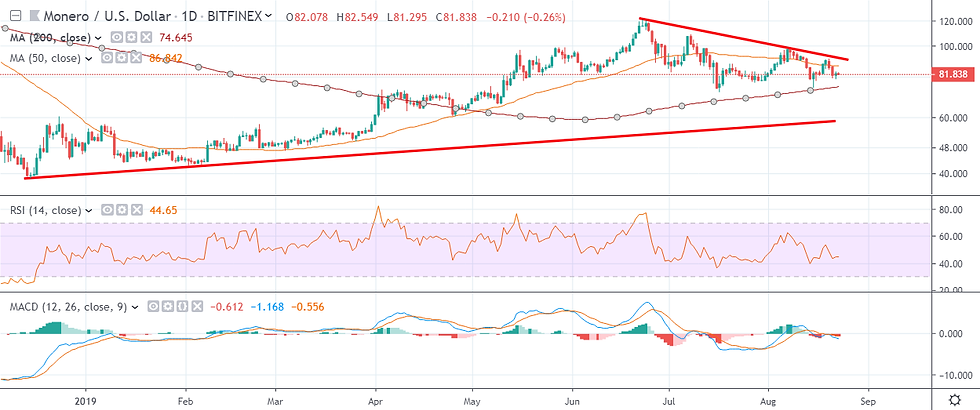 XMR Daily Chart August 23 by TradingView