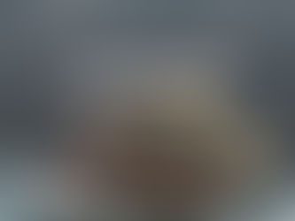 Bloomberg Wakes Kraken: Good Fails To Come Of This