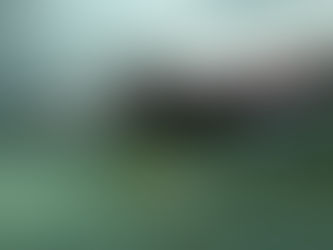 XMR / USD Price Analysis: Resurfacing