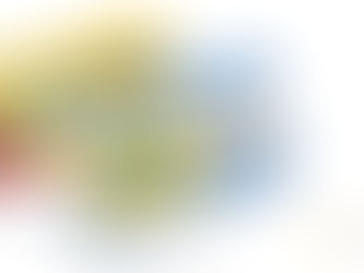 Dash Reveals KRIP Phone For South Americans