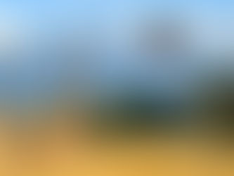 IBM Helps Kenyan Agriculture Flourish On Twiga Blockchain