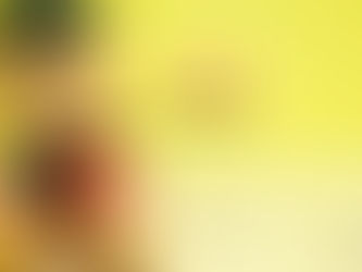 即使是在熊市,Aetenity也会支付你去学习区块链