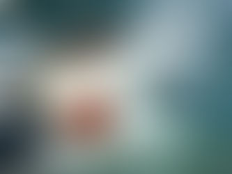 Bitcoin’s Rising Tide Lifts Alt Boats