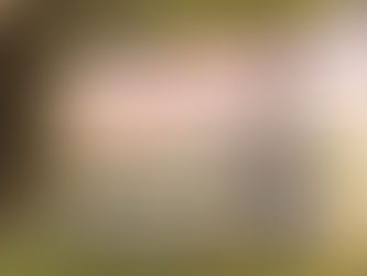 爆料:迈克菲将在2020总统竞选时使用Skycoin