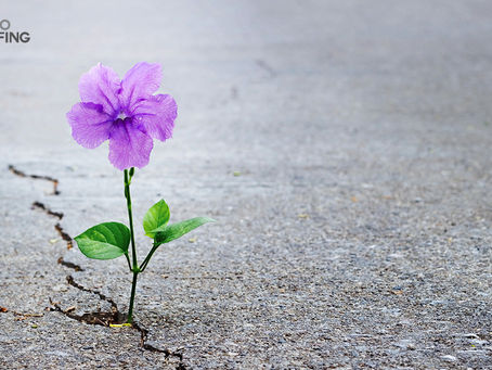 Crypto Spring: Alts Bloom And Market Suddenly Up By Billions