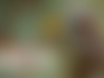 Zcash Digital Asset Report: ZEC Token Review and Investment Grade