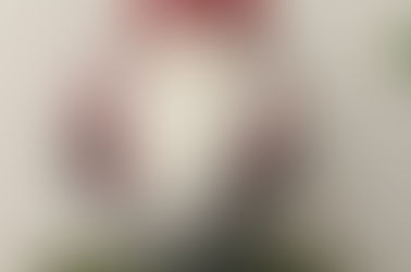 Świąteczny Klimat w Słonecznej Przestrzeni Wsparcia