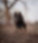 _97A3075.jpeg