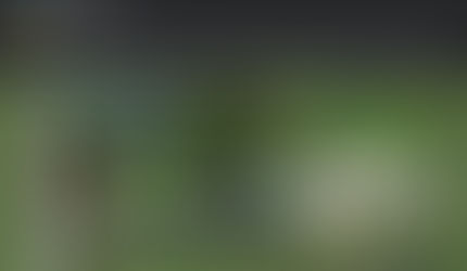 14 Gangstalking Muskogee 2023