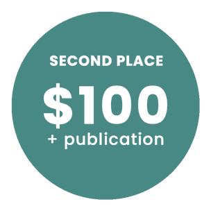 2nd place Winner receives 100 dollars and publication on our website