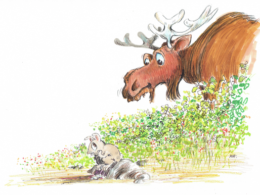 La oss forebygge i stedet for å reparere!