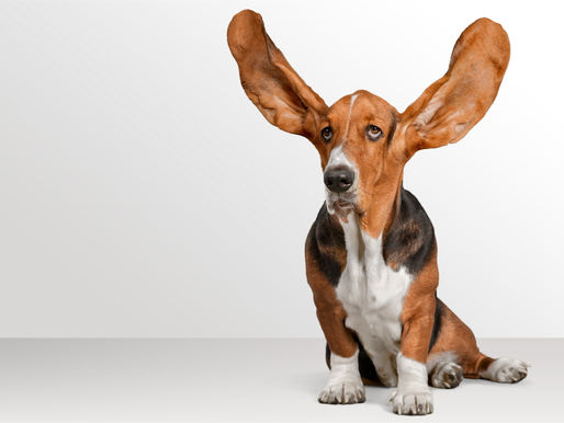 + Er du lei av at barnet ditt maser på deg? Her er noen gode råd!