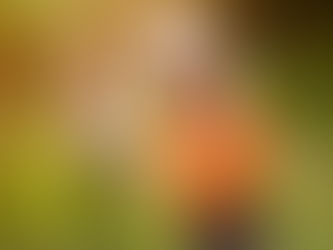 Kvelden webinar: "Å skape en god balanse mellom frihet og grenser."