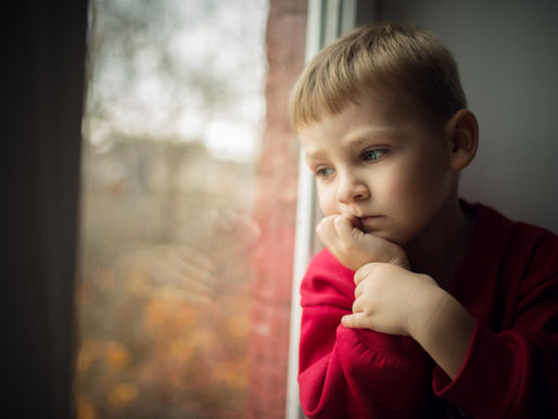 Lenke til webinaret "Se - forstå - handle"