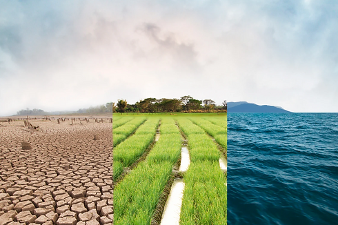 Environmental & Geoenvironmental .png