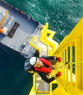 Offshore & Subsea.png