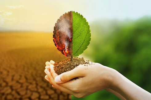 Climate Change and Environmental .png