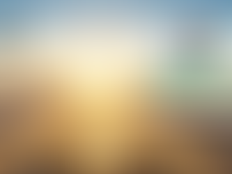 NOC Sets Strategic Roadmap for 2026 Following Sabha General Assembly