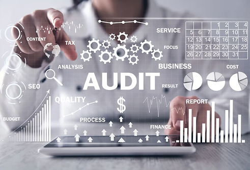 Audit