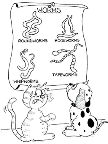 Why Scoop Dog Poop Pet Waste Health