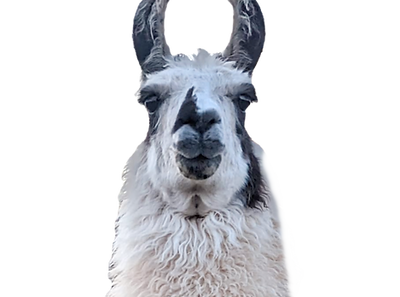 269742506_1501736133544702_4665830887735652793_n_edited_edited_edited.png