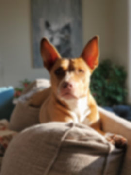 Resized_20191224_093929.jpeg