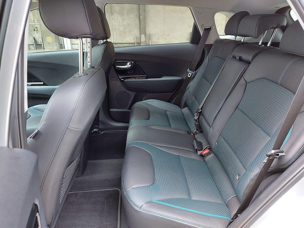 Miniature : KIA e-Niro 64 kWh e-Premium, 05.2020, 13250 km