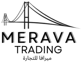 Merava Logo_edited.png
