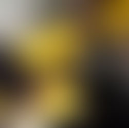 essentially nonessential? a deeper look at amino acids: glutamine