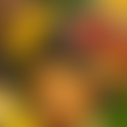 myth or fact: calorie edition